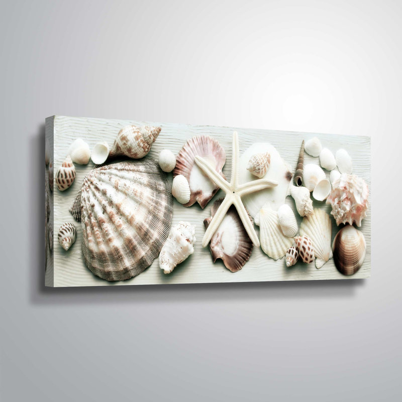 « mixed coquillages », reproduction sur toile, Toile tendue, H 24 po x l 48 po x P 2 po