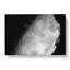 The Moons North Pole In Abstract - Wrapped Canvas Print-55300855