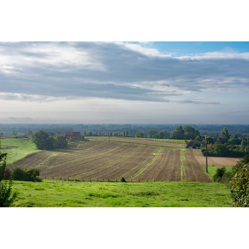 Sunny Spels on Sloping Landscape by Beeldbewerking, 8" H x 12" W
