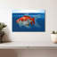 Aquarium Brampt Shubunkin poisson rouge-107830004