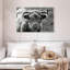 Vache Highland monochrome-601479756-601479751