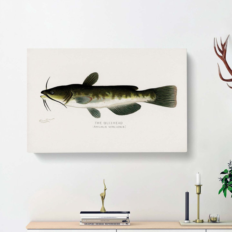 Bullhead Fish by Sherman F. Denton - Wrapped Canvas Painting Print, 50cm H x 76cm W x 3cm D