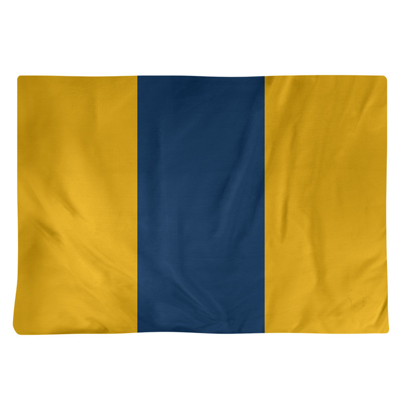 Récapitulatif de 18 po West Virginia, Jaune / Bleu moyen, Polyester sergé