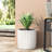 MGO PLANTER