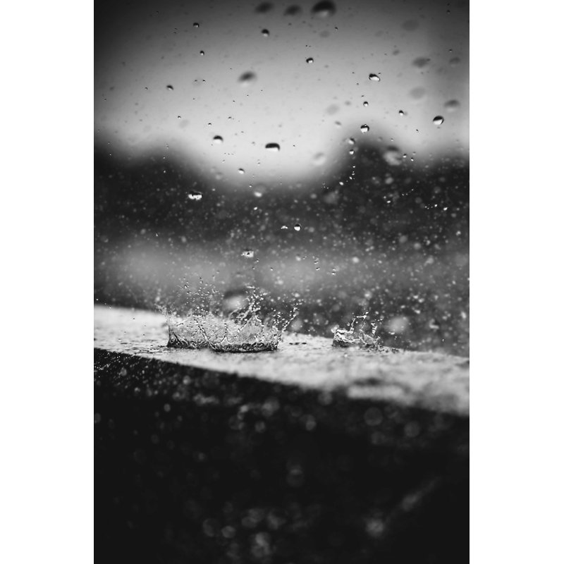 Pluie d'automne - Photographie sur toile tendue, H 18 po x l 12 po