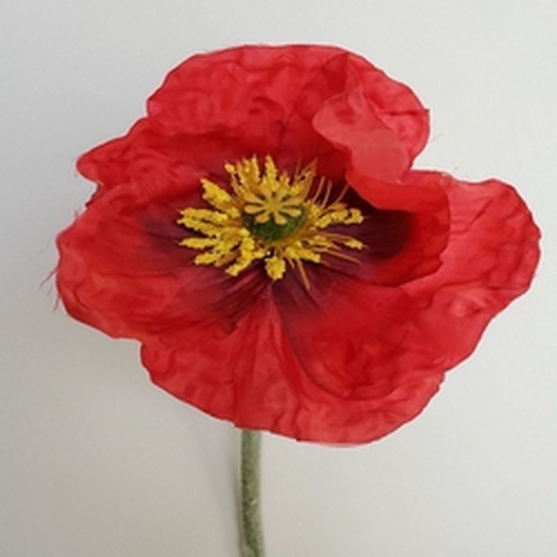 Poppy Arrangement