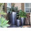 Catalina Pots By -415856418