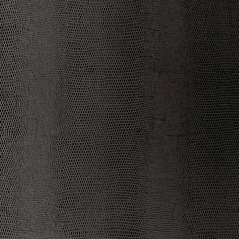 Lizard Wallpaper, Carbon
