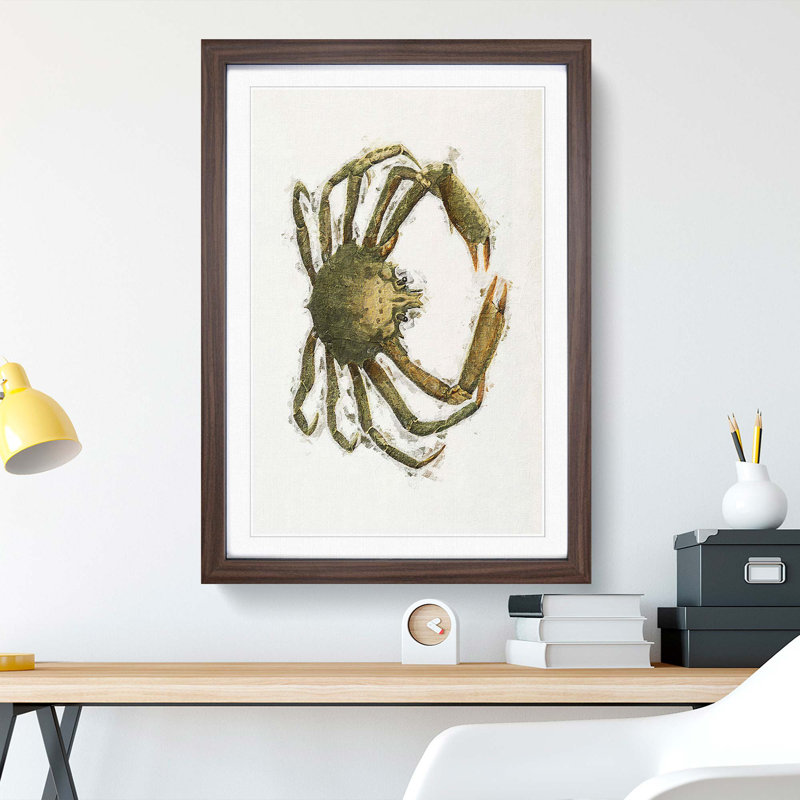 Spider Crab by J.E. De Kay - Picture Frame Painting Print, 65cm H x 48cm W x 2cm D, Walnut Framed