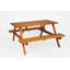 Table Pic-Nic 140X70Cm