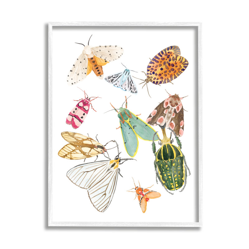Insectes ailés de couleur tropicale - peinture, Giclée encadrée blanc bord de mer, H 30 po x l 24 po x l 1,5 po
