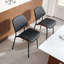 Ensemble de 2 chaises de salle à manger modernes Mid-Century