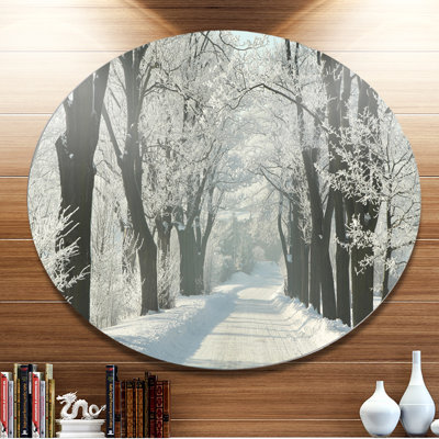 «Country Road Entre Foggy Trees», photographie