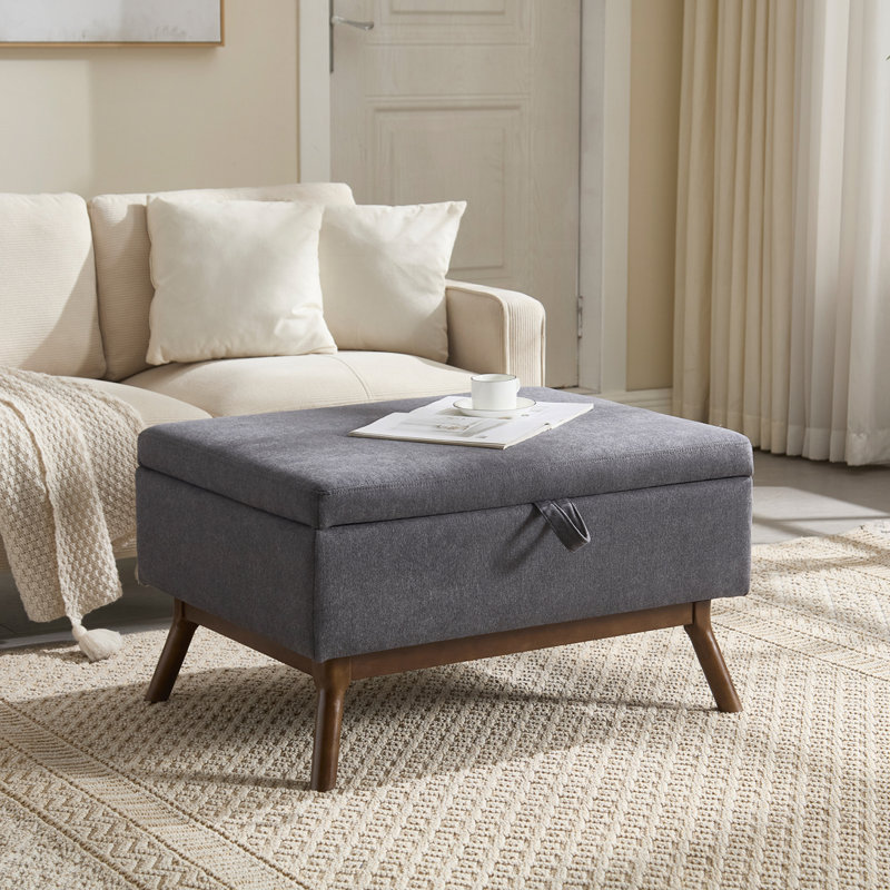 Table basse avec rangement, repose-pieds, Foncé foncé