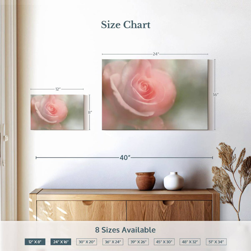 Rose tendre Harnek I, H 16 po x l 24 po