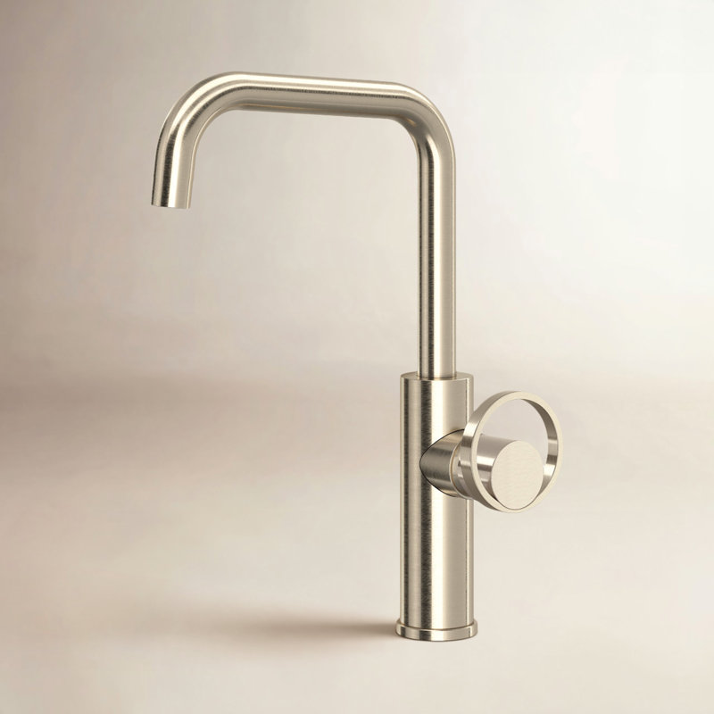 AllModern Linwood Kitchen Faucet Side Spray, Satin Nickel