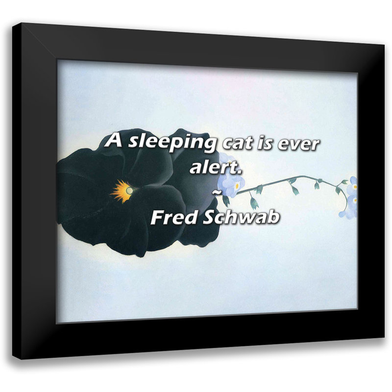 Citation de Fred Schwab: Un chat endormi est toujours en alerte.