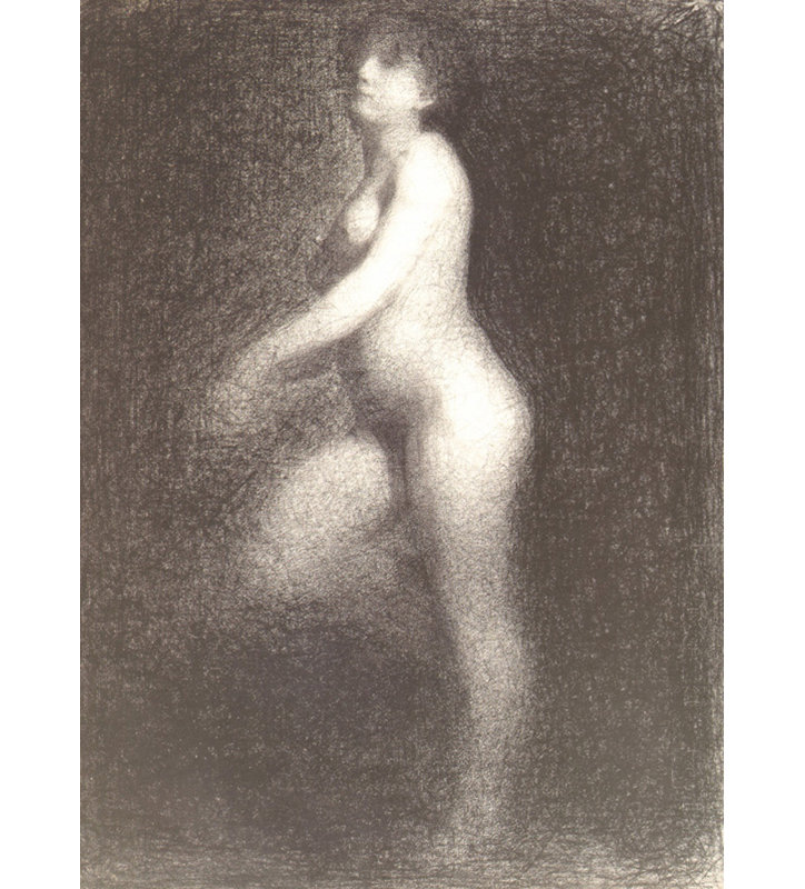 Nude, 1881, 24" H x 17" W