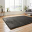 Alvery area rug Machine Woven Charcoal-1301440510