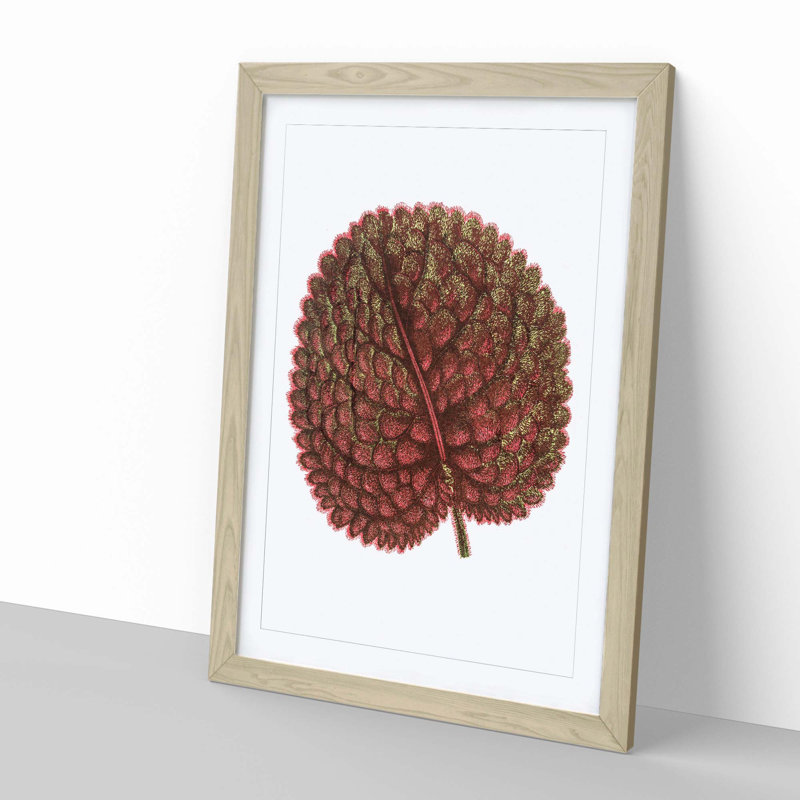 Plant Leaf by Benjamin Fawcett - Framed Print, Oak, 60cm H x 40cm W x 2cm D