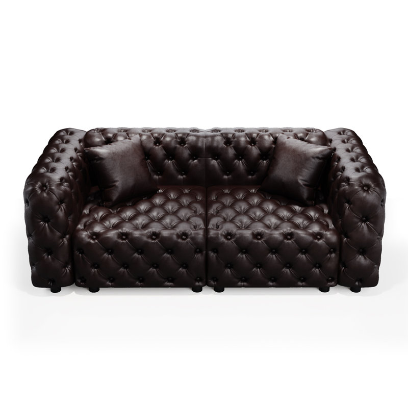 Causeuse moderne 2 places avec 2 coussins