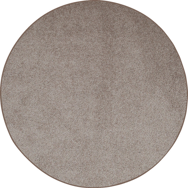 Modern Plush Pet and Kids Friendly Solid Color Beige Area Rugs, Stain & Fade Resistance, Perfect for Living Room, Dining Room, Bedroom, Playroom and Kidsroom, Event, Wedding, Southwest Rug