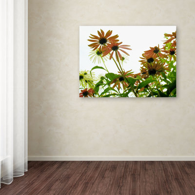 « orange coneflowers » par kathie mccurdy,, reproduction de photo sur toile tendue