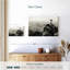 Hannes Rio De Janeiro en monochrome-107472801