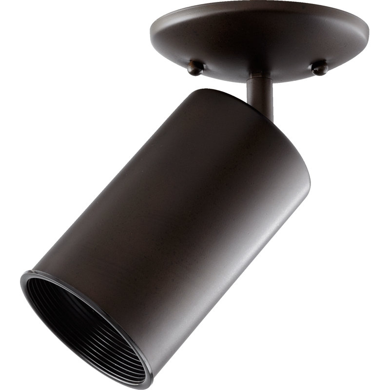 Hayward Hardwired Outdoor Security Ceiling Mount