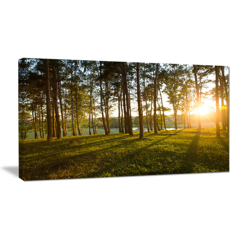 «Bright Sunlight in Dense Forest», reproduction de photo sur toile tendue, H 28 po x l 60 po