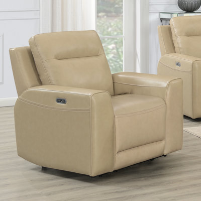 Fauteuil inclinable Aranveer