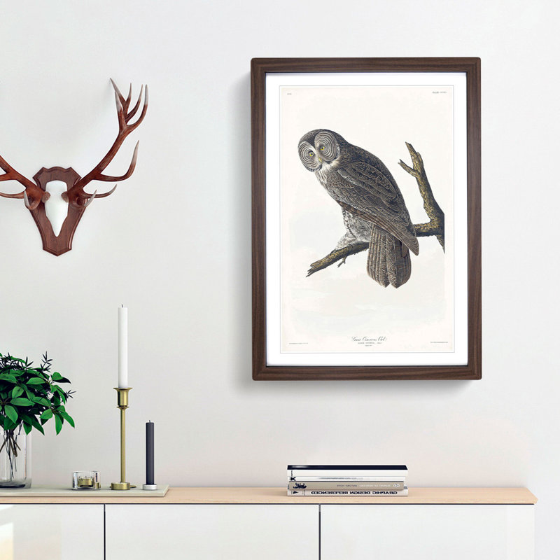 Great Cinereous Owl by John James Audubon - Picture Frame Painting Print, Walnut Framed, 48cm H x 36cm W x 2cm D