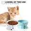 Bol surélevé pour chat-50642235-50625642