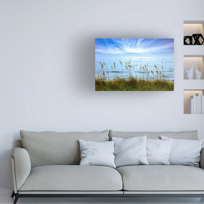 Celebrate Life Gallery Wild Oats Canvas Art