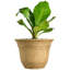 Ensemble de pots à fleurs en résine 3 pièces Knel-530300746-530300744