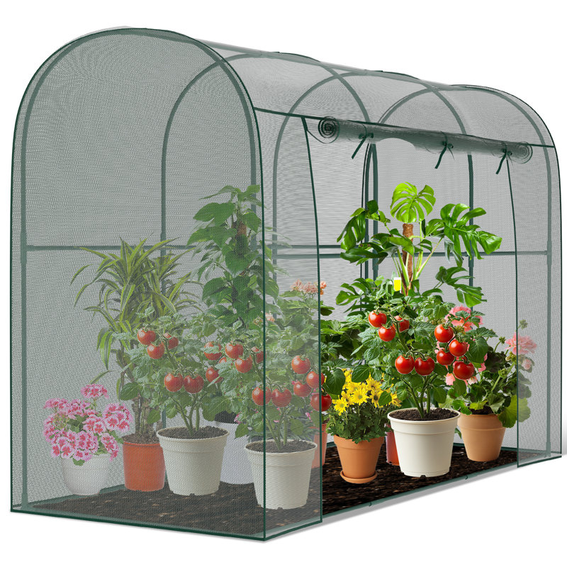 Crop Cages for Garden Plant, Plant Protection Netting Tent with Zippered, Wind-Resistant Plant Cages, Green