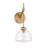 Cedeno 1-Light Wall Sconce in Warm Brass