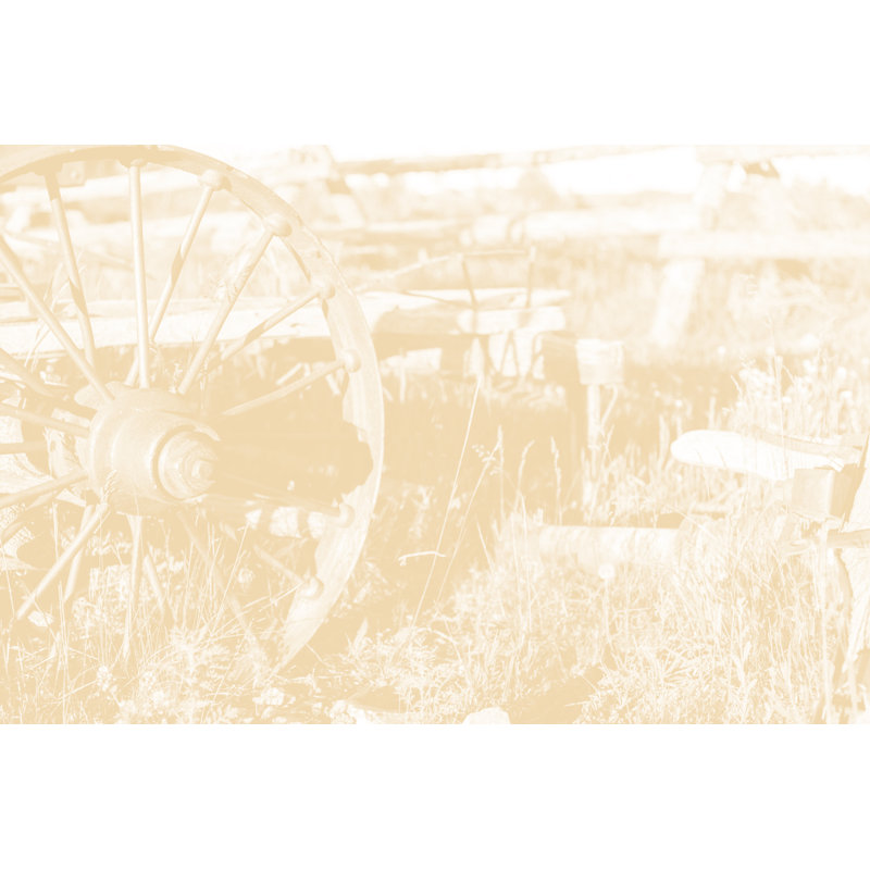 Old-fashioned Wagon by Fstop123 - Print, 51cm H x 76cm W x 3.8cm D