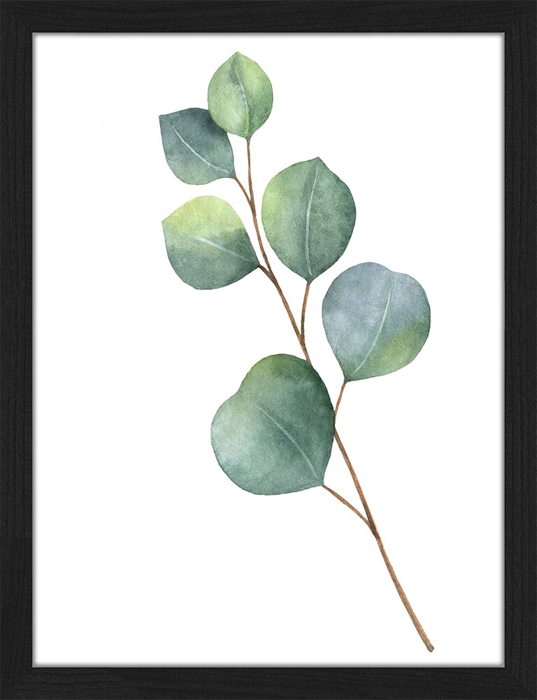 Gerahmtes Papierbild - Grafikdruck „Eucalyptus”