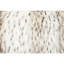 Aevyn Animal Print Rectangular Lumbar Cushion