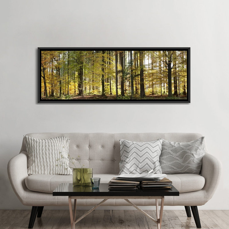 " Trees In Autumn, Hohenlohe, Baden-Wurttemberg, Germany " by Panoramic Images, 12" H x 36" W x 1.5" D, Black Framed Canvas