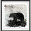 « birchbark bear », impression encadrée-626887593-618632195