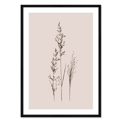 Delicate Stems I by Carol Robinson - Single Picture Frame Print -  Birch Lane™, FB1C3682CD794AEBB27C421E264994AE