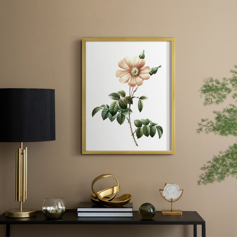 «Botanical Beauty II», reproduction encadrée - bois massif, H 21 po x l 17 po, Doré