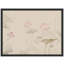 Seren Lotus Pool-104789336-104789339