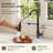 Contemporary Commercial-Style 2-Function Single-Handle Pull-Down Kitchen Faucet with LED Base-103691037