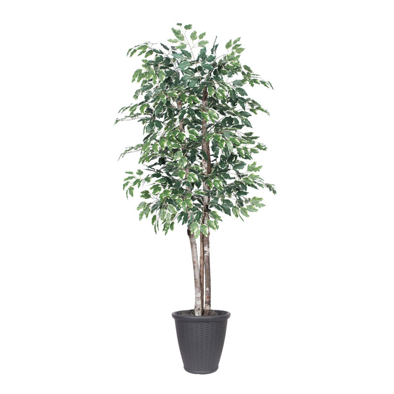 Ficus artificiel 72 po en pot, Gris