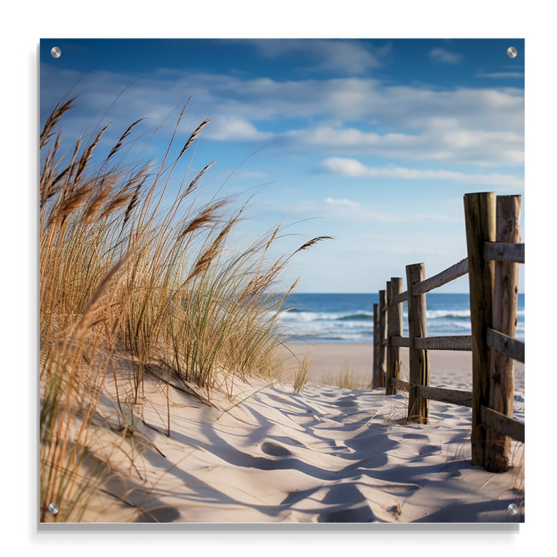Tranquility Path To Dune Beach III, H 16 po x l 16 po