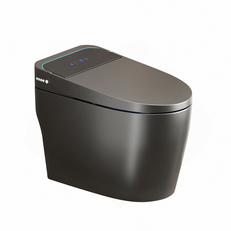 Unique Smart Toile,  One Piece Toilet with Bidet Built In,Intelligent Toilet Auto Open/Close Seat. Bidet toilet with Dryer and Warm Water.