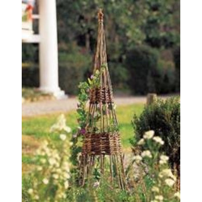 Wood Obelisk Trellis